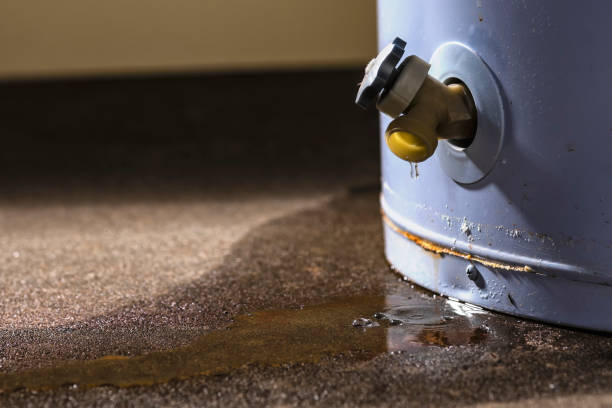 Forest Heights, MD Water damage restoration Company