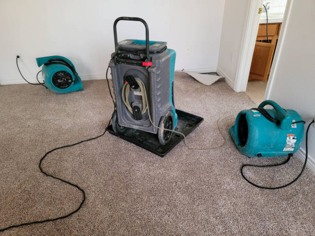 Best Water damage restoration process  in Forest Heights, MD