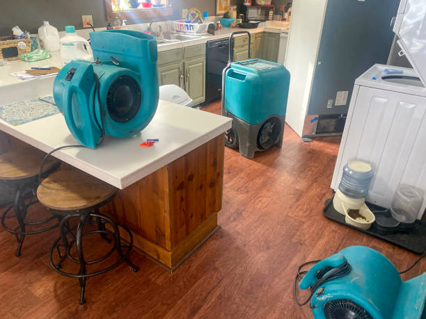 Best 24-hour water damage restoration  in Forest Heights, MD