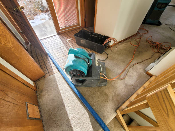 Water damage restoration mold remediation in Forest Heights, MD