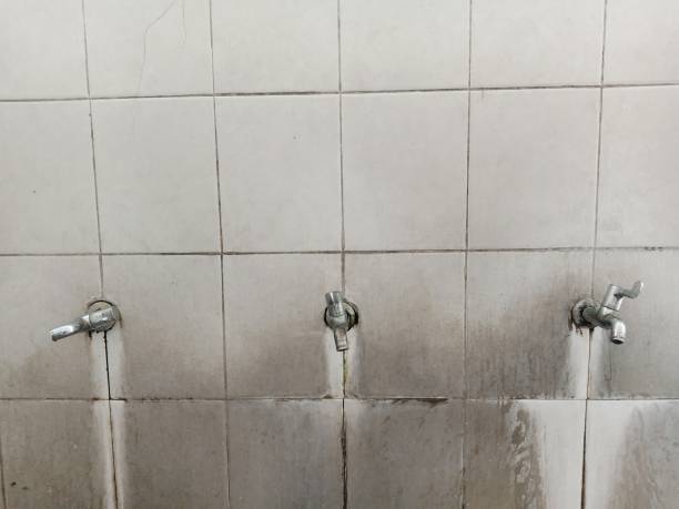 Best Water damage restoration near me  in Forest Heights, MD