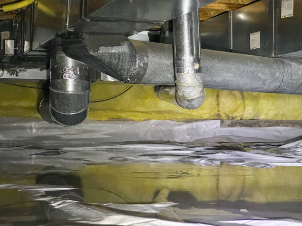 Best Water damage cleanup near me  in Forest Heights, MD