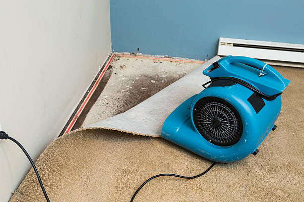 Best Commercial water damage restoration  in Forest Heights, MD
